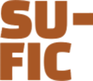 Superfiction