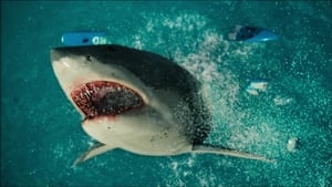 Shark (2012)