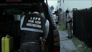 CSI: Crime Scene Investigation: 6×7