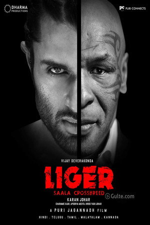 Liger 37
