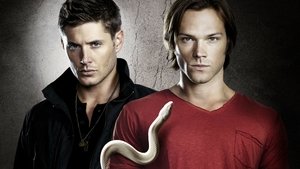 Supernatural S2+S3+S4+S5