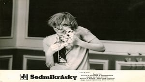 Sedmikrásky