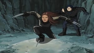 X-Men: Evolution Target X