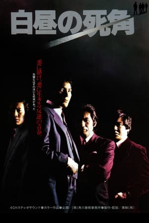 Poster 白昼の死角 1979