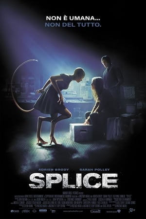 Poster Splice 2010