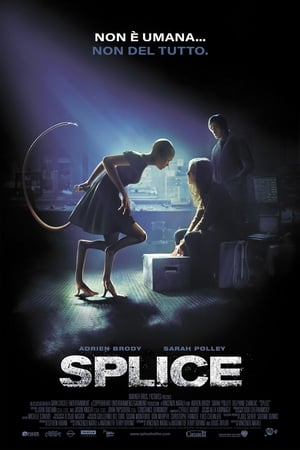 Poster Splice 2009