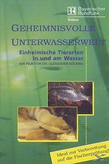 Geheimnisvolle Unterwasserwelt