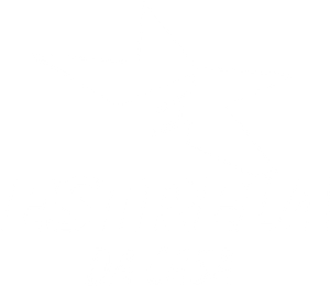 Estrelas da Casa — Logos 4
