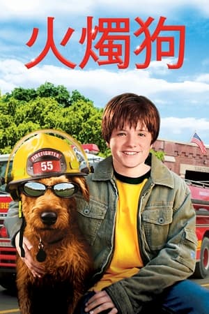 消防犬 2007