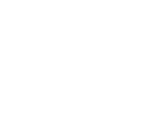 X의 사생활 — Logos 3