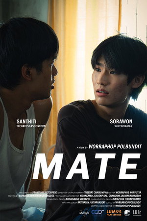 MATE