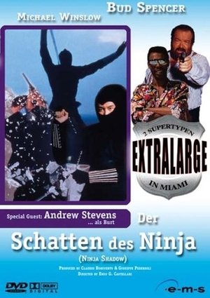 Extralarge: Ninja Shadow poster