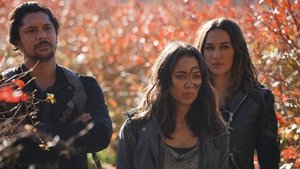 The 100 Season 6 Episode 8