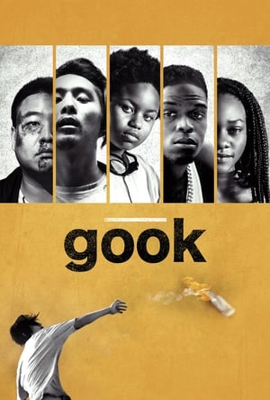 Poster Gook (2017)