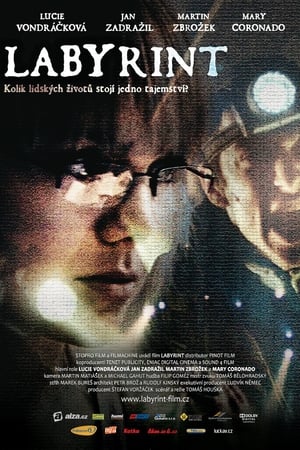 Poster Labyrinth 2012