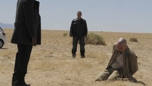 Breaking Bad: Season 4 Episode 11 – Crawl Space