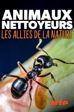Les Animaux Fantastiques 2 Streaming Gratuit [ vf ] Animaux Nettoyeurs, Les Alliés De La Nature (2020) Streaming