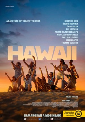 Image Hawaii