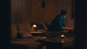 THE CRAWLSPACE