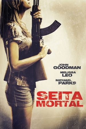 Poster Seita Mortal 2011