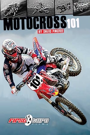 Poster Motocross 101 (2011)