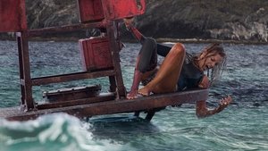 ดูหนัง The Shallows (2016) นรกน้ำตื้น [Full-HD]