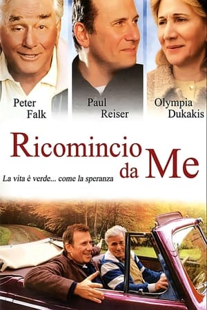 Poster Ricomincio da me 2005