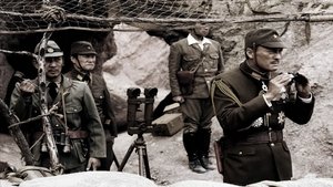 fotograma-5