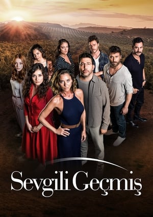 Sevgili Gecmis poster