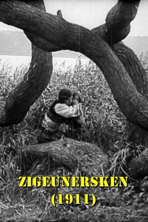 Zigeunersken 1911