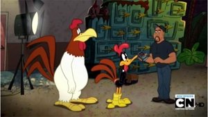 The Looney Tunes Show Season 1 Episode 9