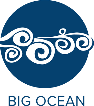 Logo Big Ocean
