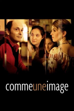Poster Comme une image 2004