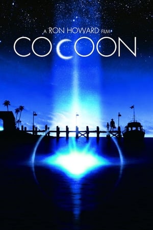 Cocoon
