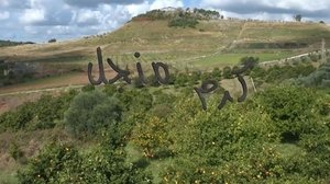 كرم منجل