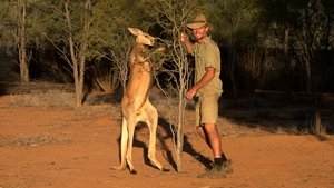 Natural World 36×4 – Kangaroo Dundee and Other Animals (2)