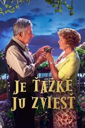 Poster Je ťažké ju zviesť 2015