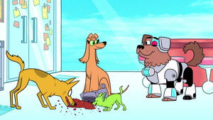Tous des animaux !