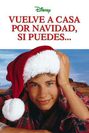 Poster Vuelve a casa por Navidad, si puedes... 1998