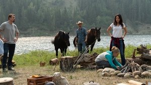 Heartland – Paradies für Pferde: 12×8