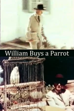 Image William Buys a Parrot