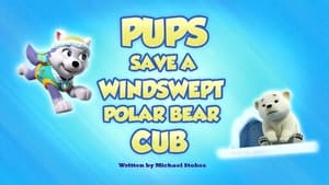Pups Save a Windswept Polar Bear Cub