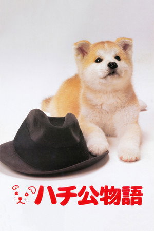 Hachiko 13
