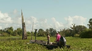 Swamp People Season 14 Episode 15