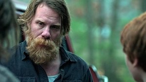 Ozark: 1×9