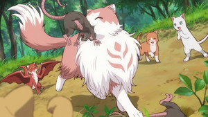 The Cat and the Dragon: 1×1