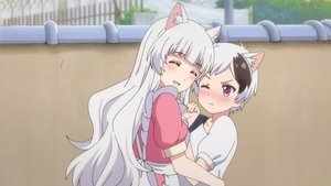 Uchitama?! ~Uchi no Tama Shirimasen ka~?: Saison 1 Episode 1