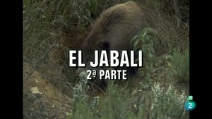 Episode 45