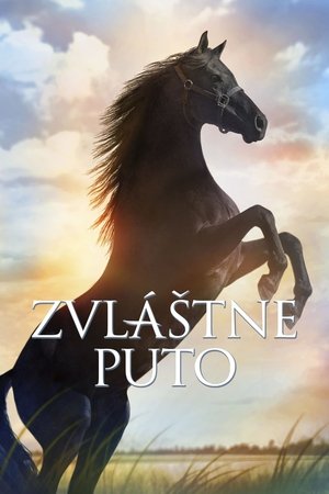 Poster Zvláštne puto 2006