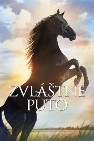 Image Zvláštne puto